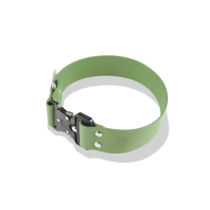 Coleira de Biothane verde para cachorro, com fivela de engate rápido
