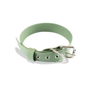 Coleira de Biothane verde para cachorro, com fivela em aço inox