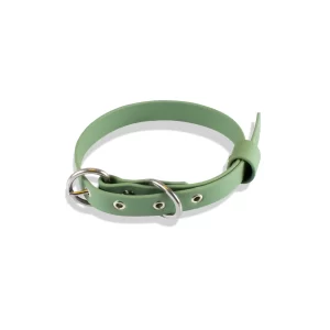 Coleira Mini de Biothane verde para cachorro, com fivela em aço inox